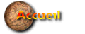 Page d'accueil